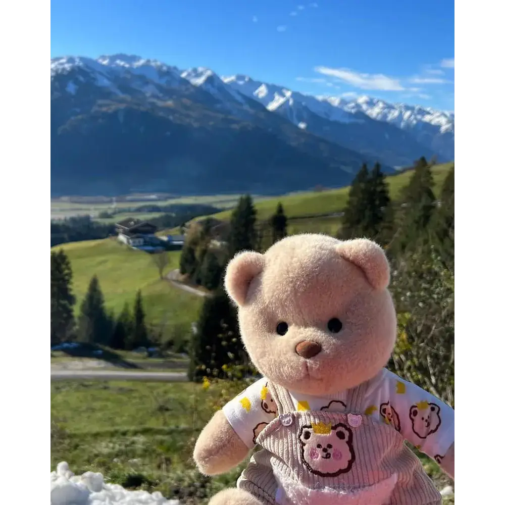 Pee-Teddy® Original - Surprey
